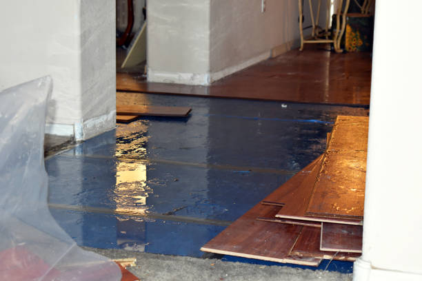 Professional Water Damage Restoration technician working in Rives, TN